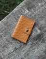 IMG_1750.jpeg