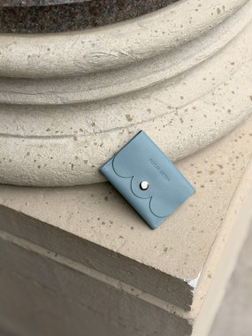 Wallet Cloud Mikro Mint (1)
