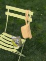 IMG_8308.jpeg