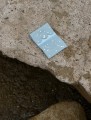 IMG_0346.jpeg