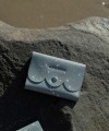 IMG_9889.jpeg