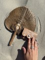 IMG_1301.jpeg