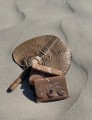 IMG_1290.jpeg