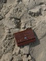 IMG_1703.jpeg