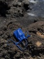 Candy_MiniBag_Cobalt_01.jpeg
